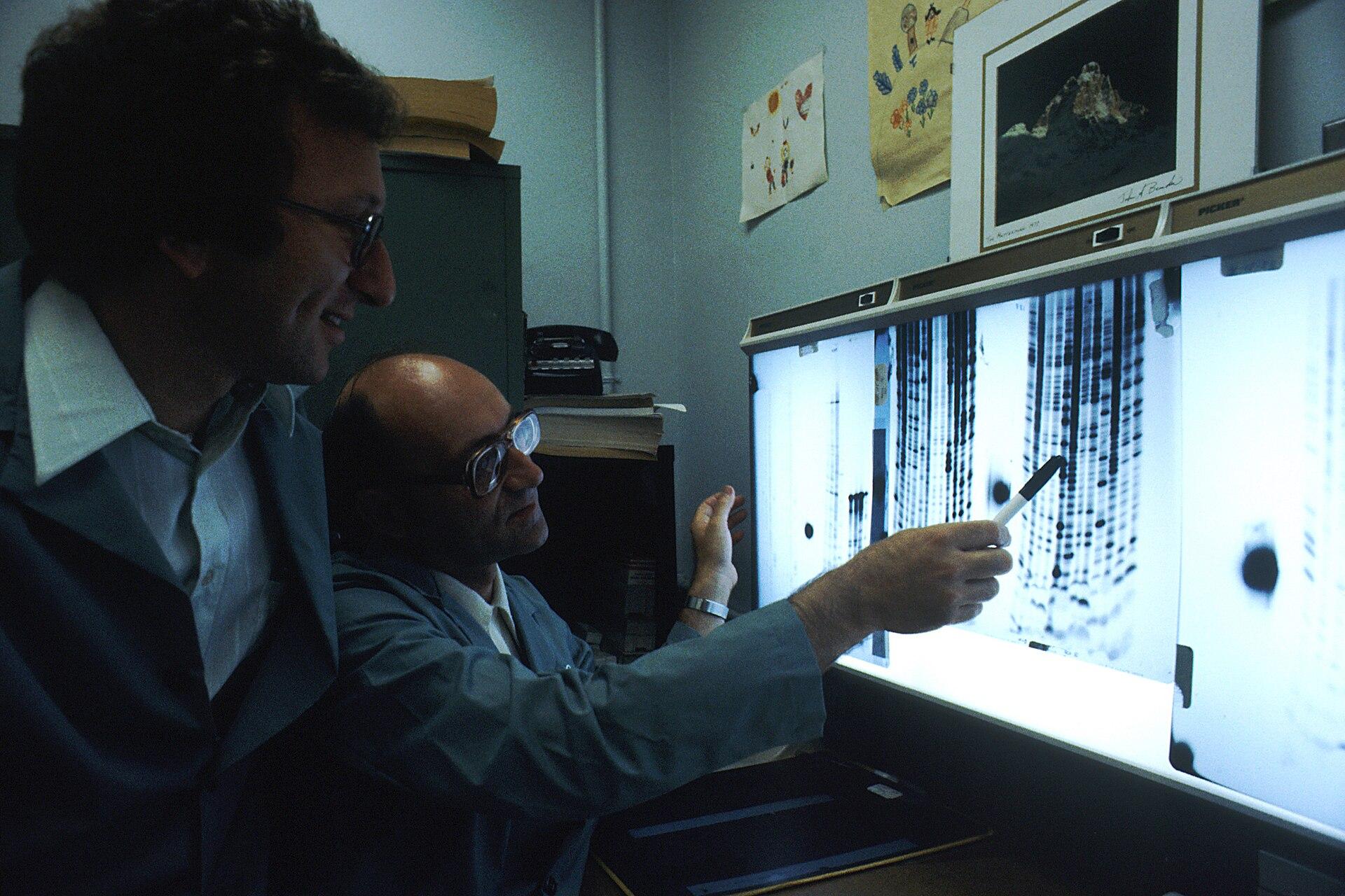 Cientistas leem o código genético em uma mesa de luz, em foto de 1980 do National Cancer Institute. Imagem ilustrativa: a varredura descrita pela Anthropic foi feita em bancos de dados públicos, e os experimentos de bancada por pesquisadores humanos.